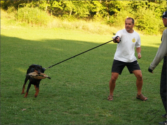 Summer training camp - Jelenec - 2007